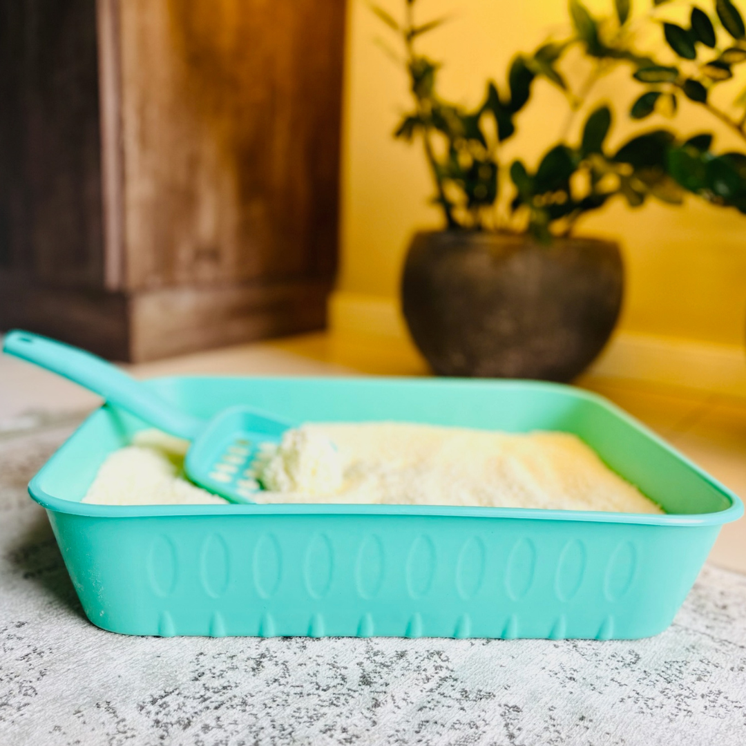 Kit com 3 Pacotes de Areia PBCAT GRÃOS MISTOS + Caixa Interativa!