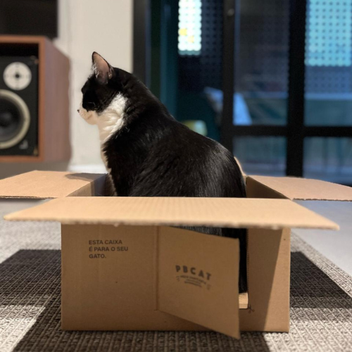 Kit com 2 Pacotes de Areia PBCAT GRÃOS FINOS + Caixa Interativa!