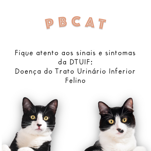 DTUIF X AREIA HIGIÊNICA