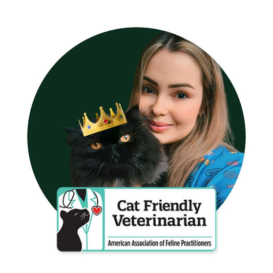 Casa Amiga do Gato: Estratégias para criar um ambiente estimulante e interessante para gatos, promovendo seu bem-estar físico e mental