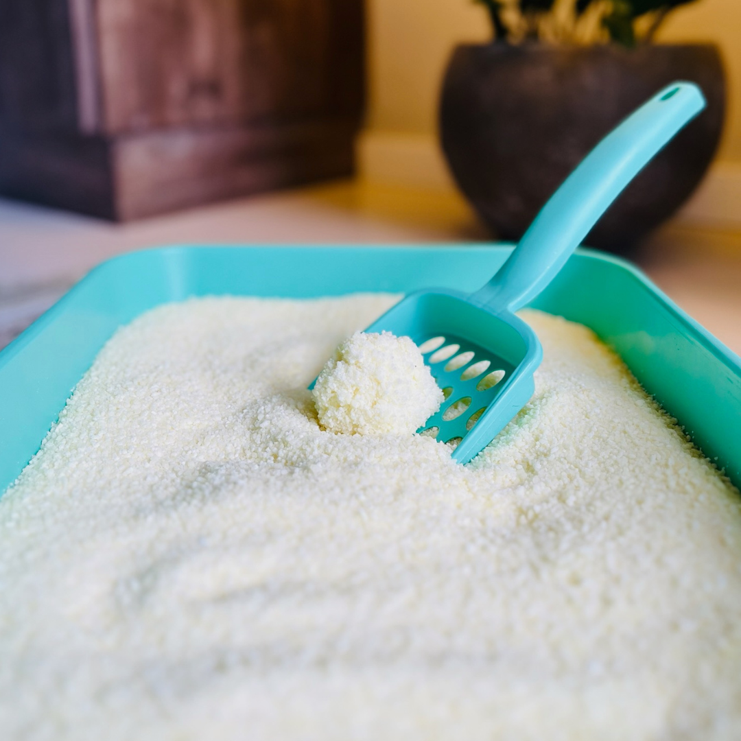 Areia Sanitária Biodegradável PBCAT 4 KG - GRÃOS MISTOS