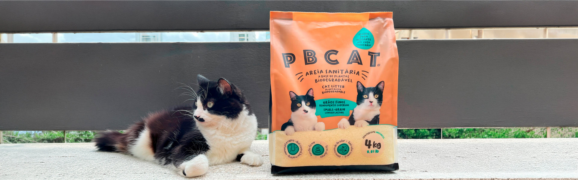 PBCAT - Areia Sanitária